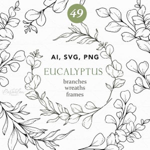 Eucalyptus Svg, Eucalyptus Line Art SVG, verdure dessiné à la main, botanique Line Art PNG, feuilles et branches SVG, Illustrations d'eucalyptus