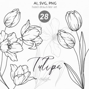 Tulipani Line Art, Tulipano SVG, Clipart tulipani, Clipart botanico in formato svg, Fiori di tulipano disegnati a mano, Linea botanica Art PNG, clipart fiori matrimonio