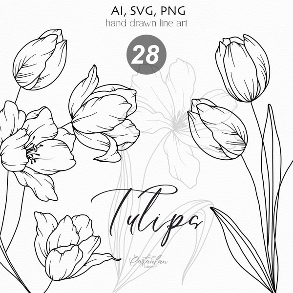 Tulips Line Art, Tulip SVG, Tulips Clipart, Botanical Clipart svg, Hand Drawn Tulip Flowers, Botanical Line Art PNG, wedding flowers clipart