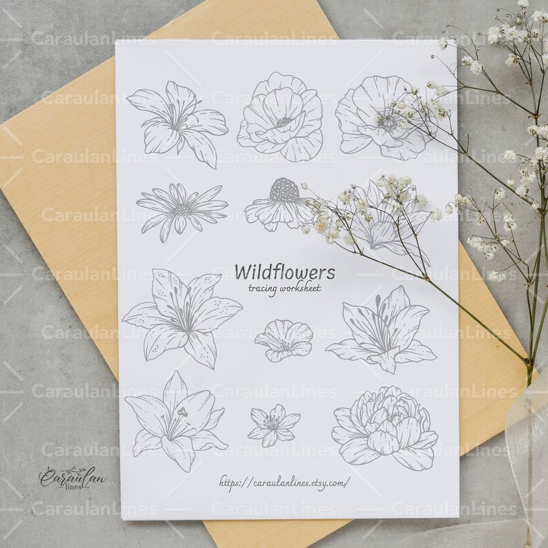 Flower Tracing Worksheet Flower Tracing Guide How To Draw Flowers Il 794xN.5473168167 36zw