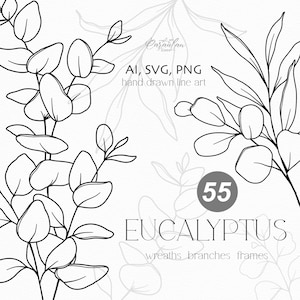 Eucalipto Svg, Eucalyptus Line Art SVG, Verde disegnato a mano, Botanical Line Art PNG, Foglie e rami SVG, Fiori in bianco e nero