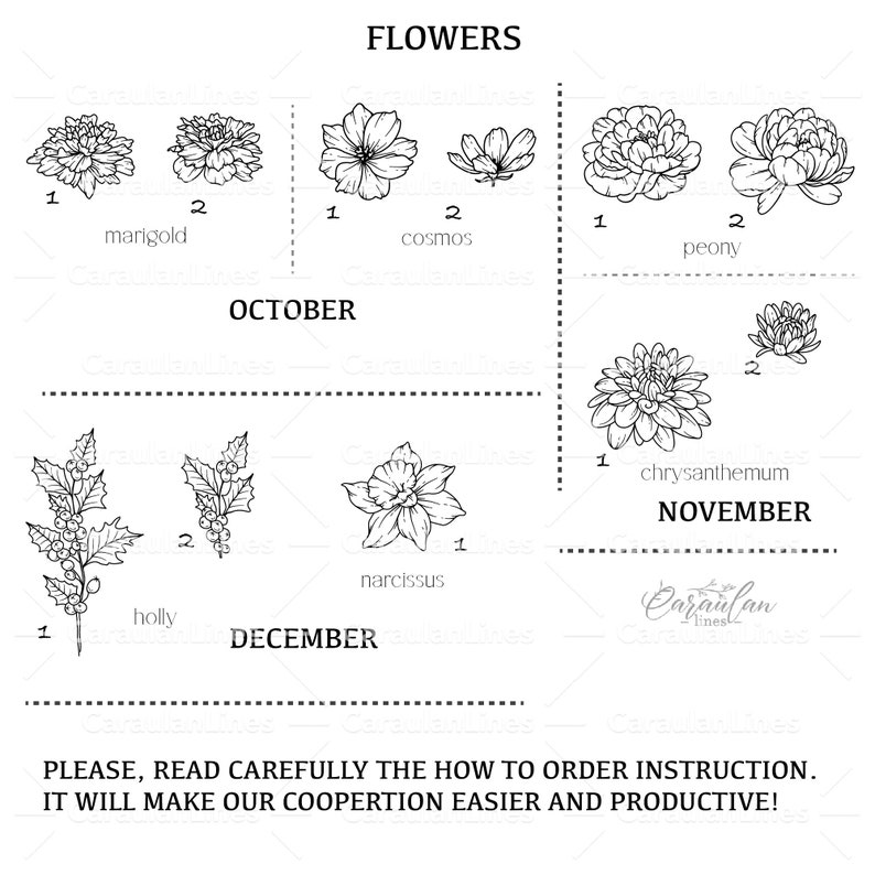 May include: Black and white line art illustrations of various flowers, grouped by month. October features marigold and cosmos. November features peony and chrysanthemum. December features holly and narcissus. The text "FLOWERS" is at the top of the image. The text "OCTOBER", "NOVEMBER", and "DECEMBER" are below the flower illustrations. The text "PLEASE, READ CAREFULLY THE HOW TO ORDER INSTRUCTION. IT WILL MAKE OUR COOPERTION EASIER AND PRODUCTIVE!" is at the bottom of the image.