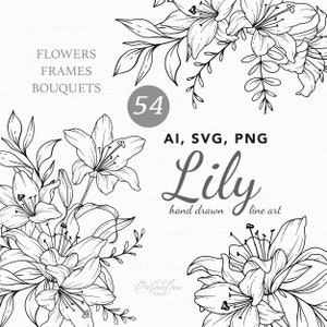 Arte de linha de lírio, flor de lírio SVG, clipart botânico svg, lírios PNG, flores de lírio desenhadas à mão, arte de linha botânica, flores SVG, clipart de casamento