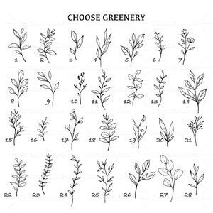 May include: A set of 28 black and white line drawings of different types of greenery. Each drawing is numbered from 1 to 28. The text "CHOOSE GREENERY" is at the top of the image.