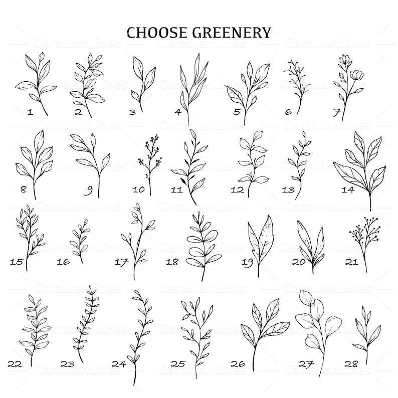 May include: A set of 28 black and white line drawings of different types of greenery. Each drawing is numbered from 1 to 28. The text "CHOOSE GREENERY" is at the top of the image.