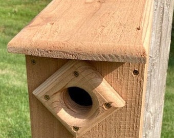 Blue Bird House