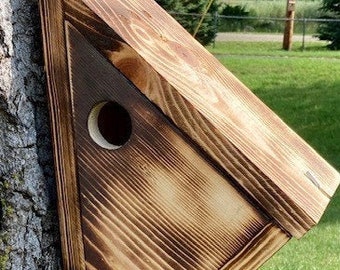 Chickadee/Nuthatch bird house