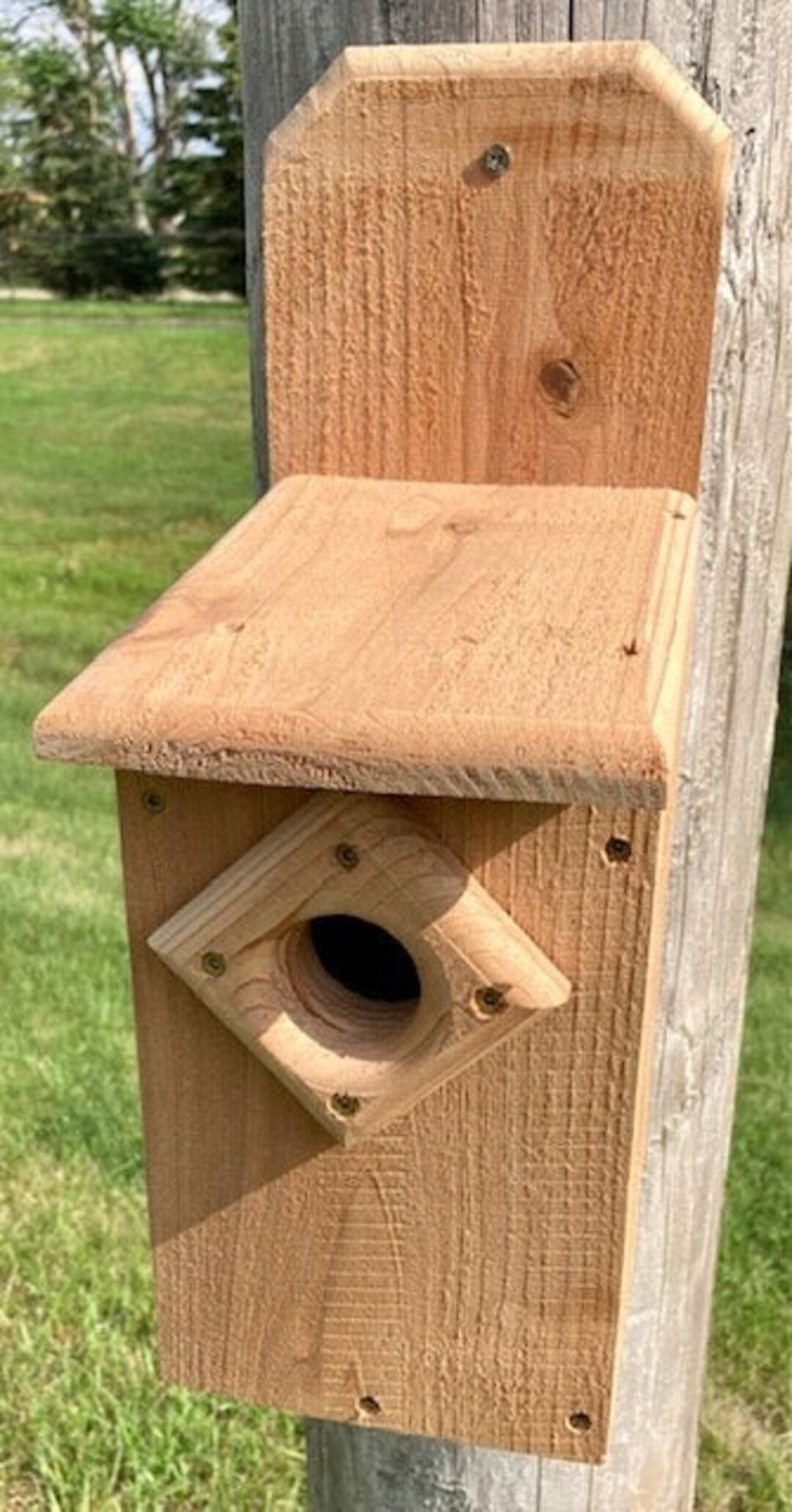 Blue Bird House - Etsy