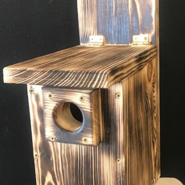 Bird House Hole Protector Etsy