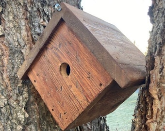 Hanging Wren Bird House