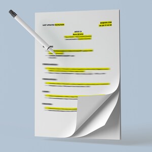 EN DOCX clean artist curriculum template