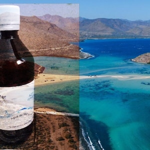 May include: A brown glass bottle of seawater hypertonic solution with a white label that reads "Seawater Hypertonic" and "Agua de Mar". The bottle is in front of a blurry image of a beach and ocean.