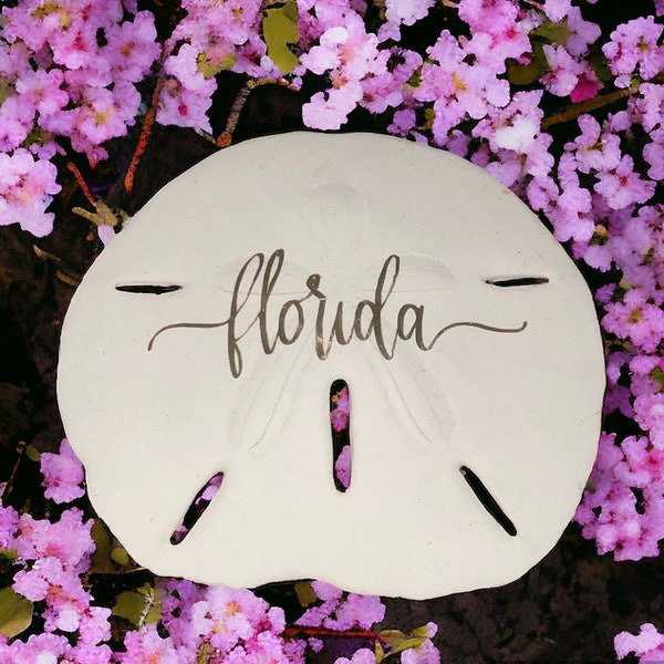 Florida Sand Dollars (10 per set) Real Sand Dollars, Sand Dollars, Wedding Favors, Wedding Decor, Gulf of Mexico Sand Dollars, Coastal Decor