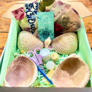 DIY Florida Decoupage Large Cockle Shell Craft Kit, Decoupage Kit, DIY Kits, DIY Kit for Adults, Crafts for Kids, Nautical Craft Kit