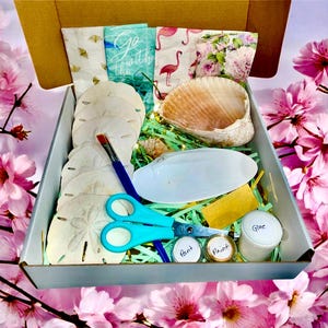 DIY Florida Decoupage Sand Dollar & Shell Craft Kit, Decoupage Kits, DIY Kits, DIY Kit for Adults, Crafts for Kids, Nautical Craft Kit,
