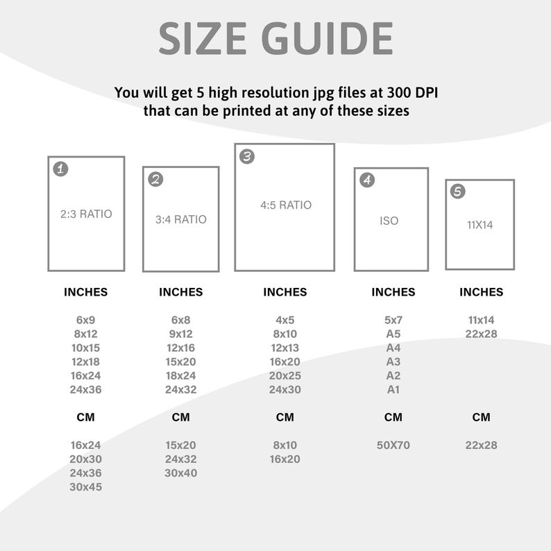 the size guide for a camera