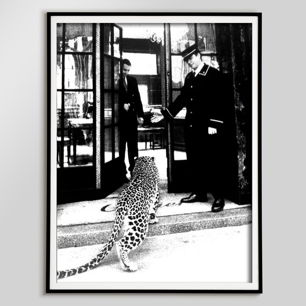 Panther in Restaurant Print, 1950 Black and White, Vintage Poster, Photo Print, Wall Art, Digital Download, Cafe Decor, Vintage Animal Photo