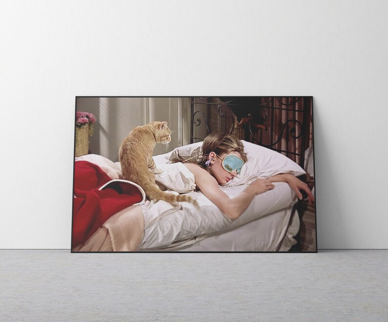 May include: A framed print featuring a woman wearing a sleep mask, lying in bed with a cat. The cat is a light orange color and is sitting on the bed. The woman is wearing a blue sleep mask and earrings. A red blanket is on the bed.