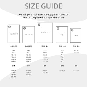 the size guide for a camera