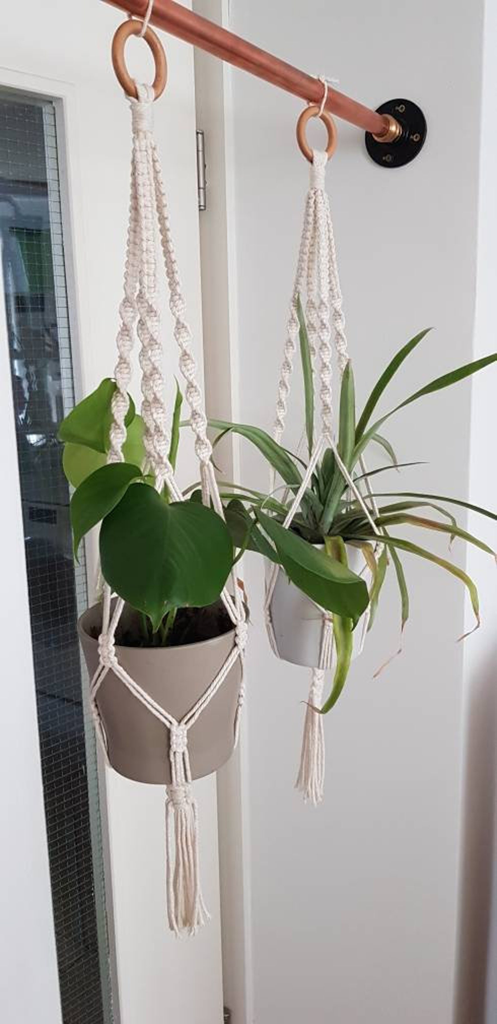 blumenampel für wohnzimmer