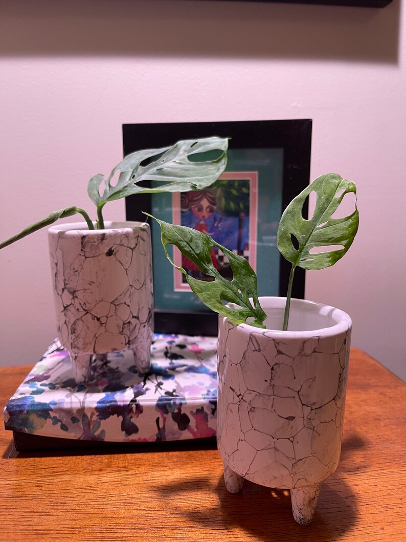 Tiny pots!
