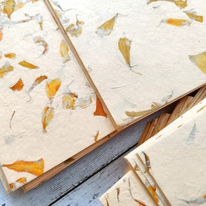 Marigold petal paper, A4 20 x 30 cm, flower petal paper, Indian Himalayan handmade paper, Orange flower petals image 2