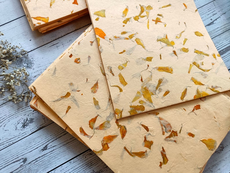 Marigold petal paper, A4 20 x 30 cm, flower petal paper, Indian Himalayan handmade paper, Orange flower petals image 4