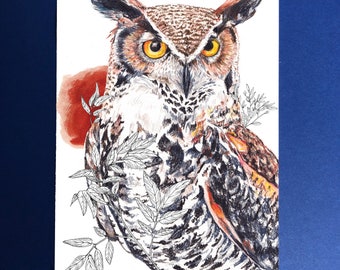 Cartes postales oiseaux