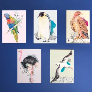 Postales de pájaros
