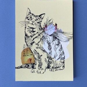 Cartes postales animaux chat
