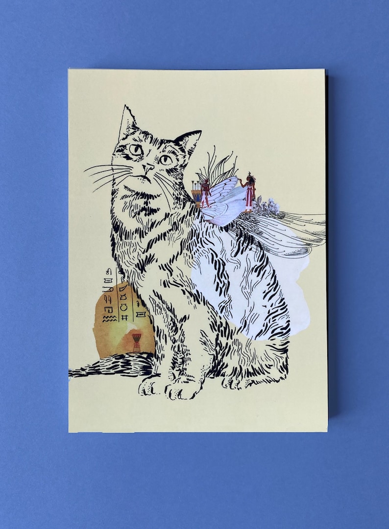 Cartes postales animaux chat