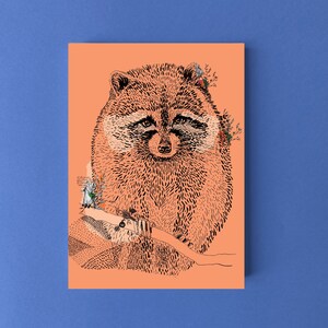 Cartes postales animaux Raton-laveur