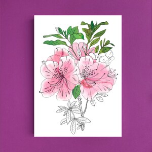 Cartes postales fleur azalée