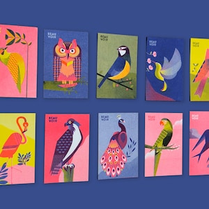 5 cartes oiseau risographie
