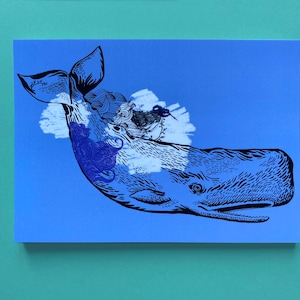 Cartes postales animaux cachalot