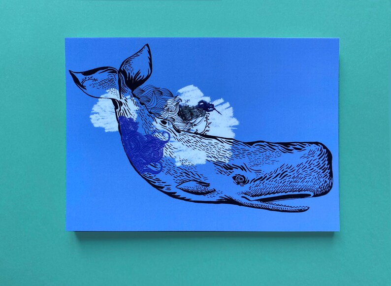 Cartes postales animaux cachalot