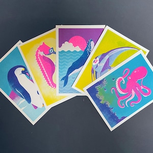 Postales Riso - Animales marinos