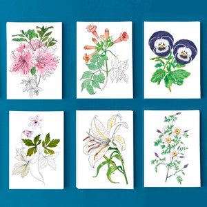 Cartes postales fleur