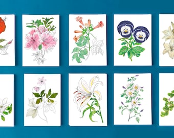 Cartes postales fleur