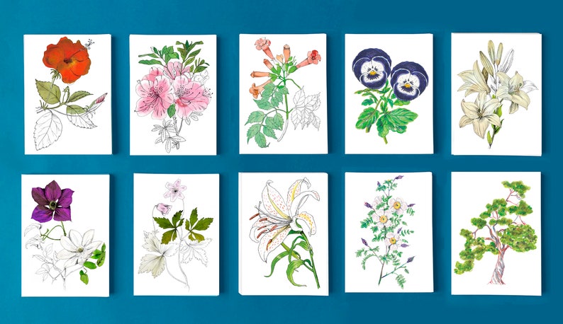 Cartes postales fleur Arbre (carte 10)