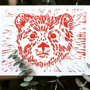 Bear