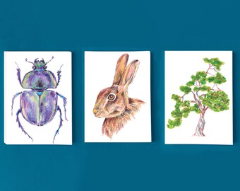 Cartes postales illustrées "nature"