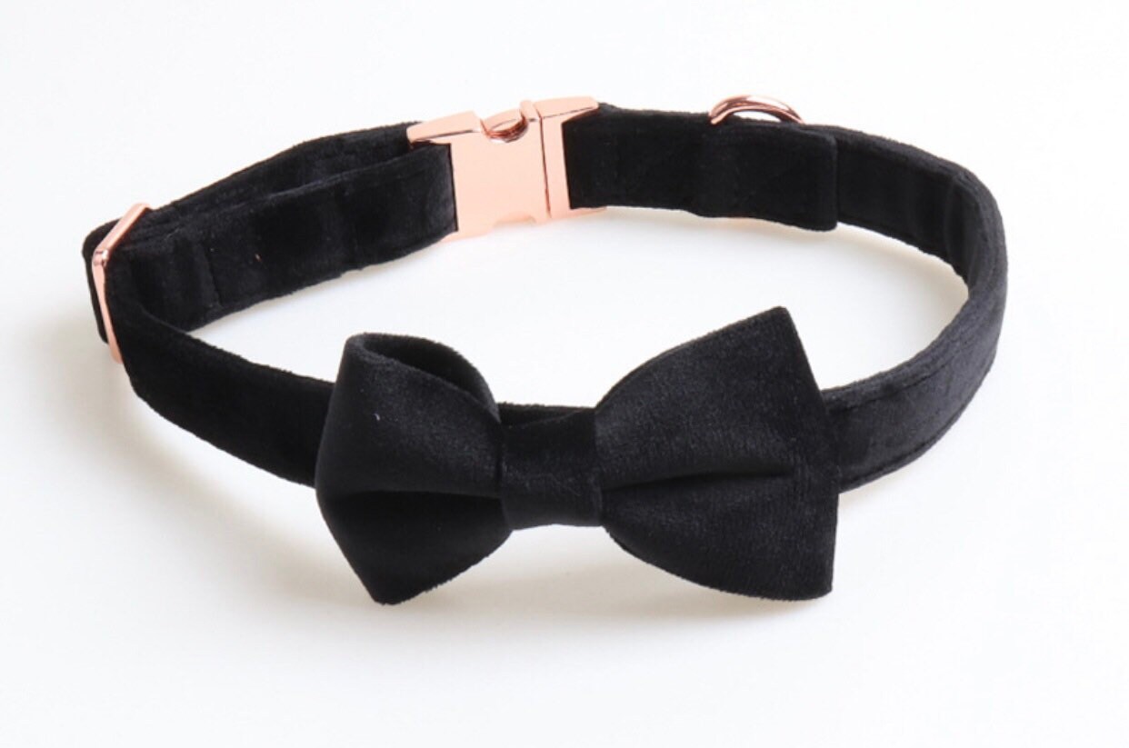 Black velvet dog collar includes removable bow tie size Etsy