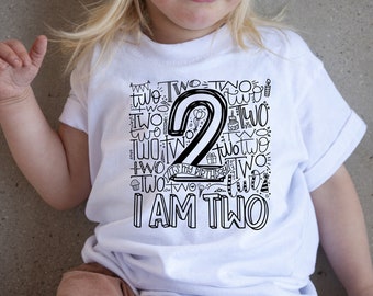 2nd Birthday Toddler Shirt - Second Birthday Toddler Shirt - Toddler Boy - Toddler Girl -2nd Birthday T-Shirt -Toddler Second Birthday Shirt