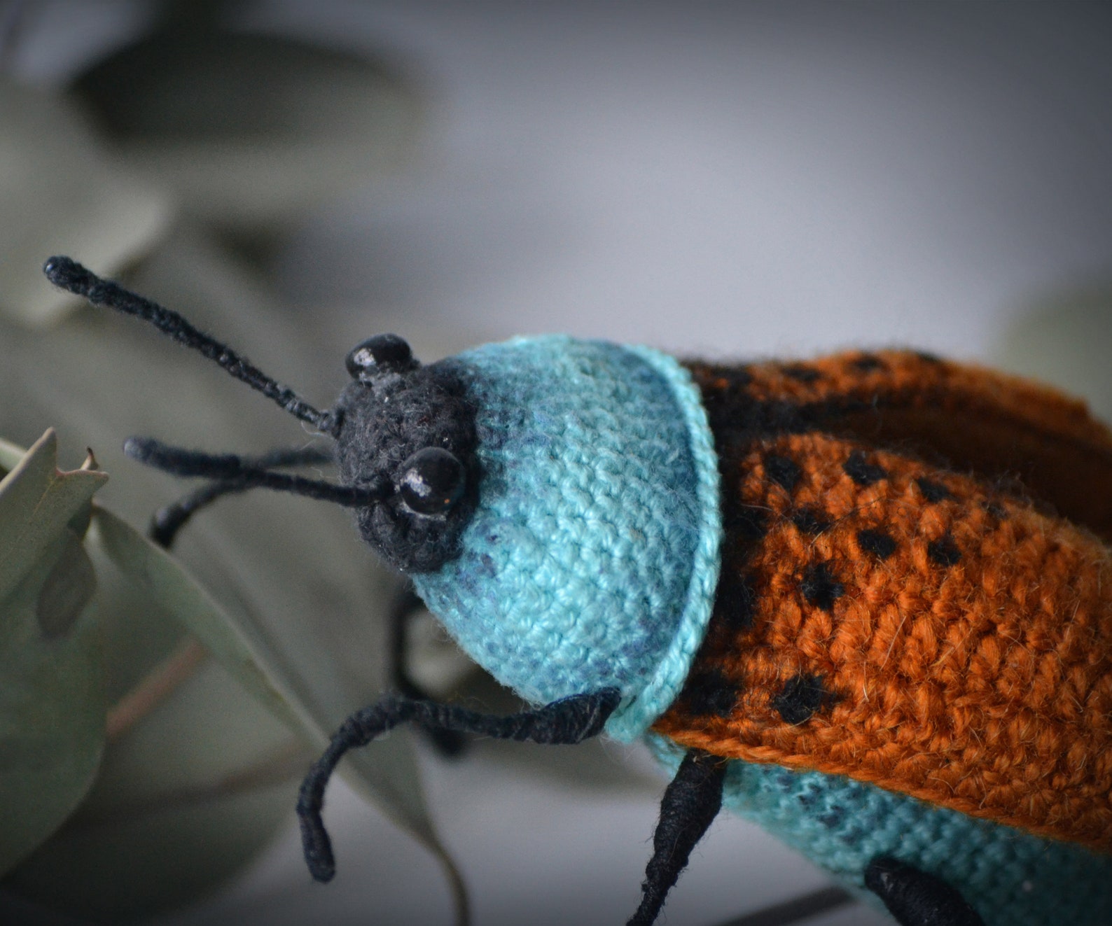 Beetle beetle crochet pattern beetle pattern pattern Etsy