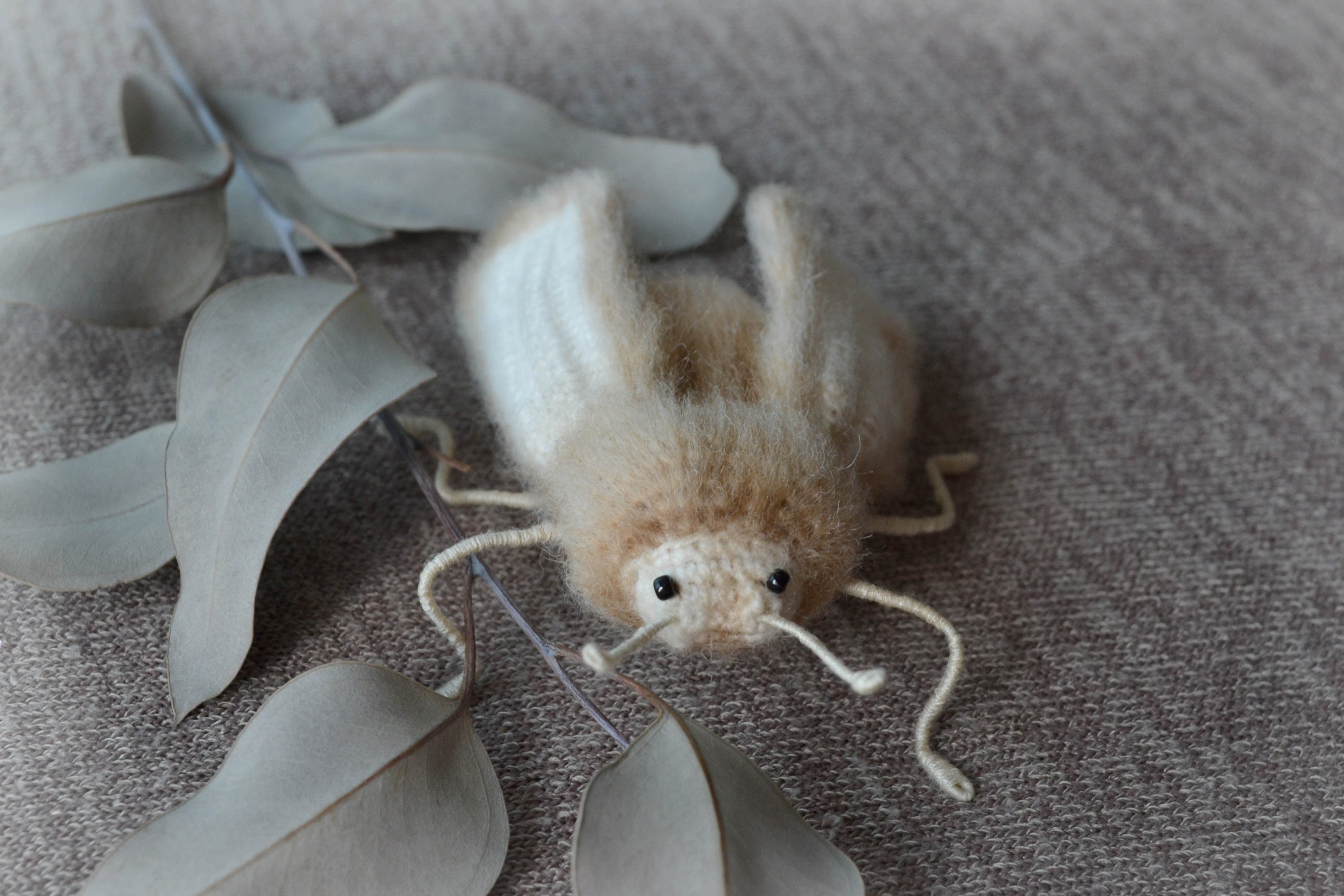 Moth Moth Crochet Pattern Moth Pattern PDF Pattern Etsy