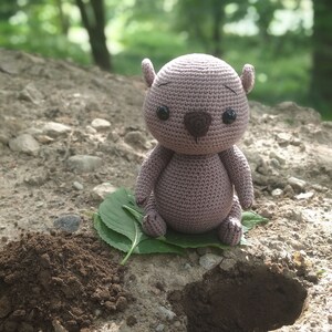May include: A crocheted plush toy in the shape of a groundhog sitting on a green leaf. The groundhog is light brown with black eyes and a brown nose. The groundhog is sitting in front of two holes in the ground.