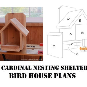 Abri de nidification cardinal bricolage Plans de maison d'oiseau image 1