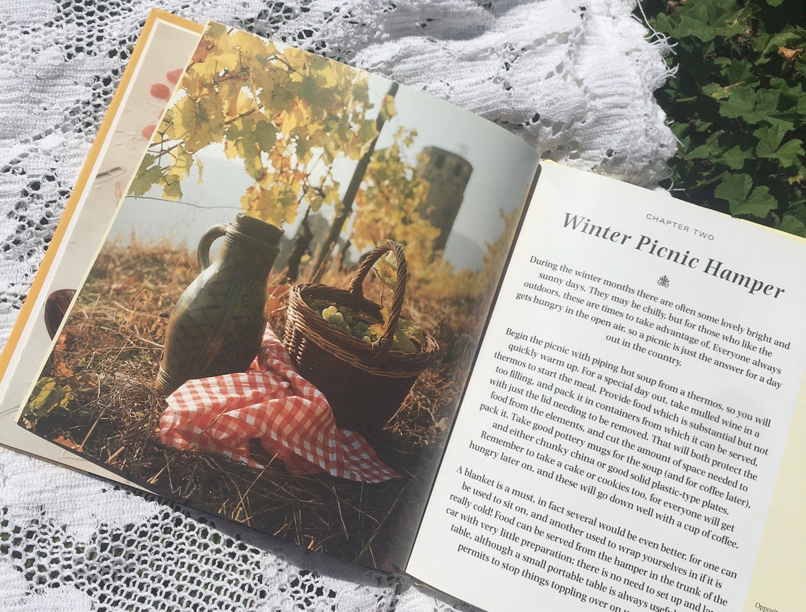 Picnic recipe book vintage cookbook cottagecore book picnic Etsy
