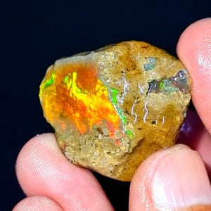 May include: A raw opal gemstone with a striking colour display. The opal shows a mix of yellow, orange, and green tones, set within a speckled, tan-coloured matrix. The gemstone is held between fingers against a dark backdrop.